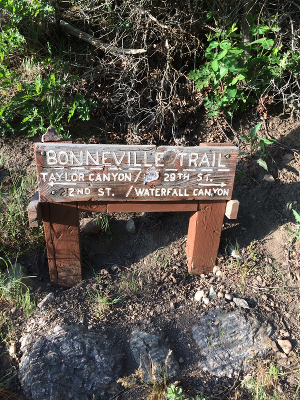 27th and BST Counter