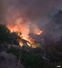A fire burning through open land